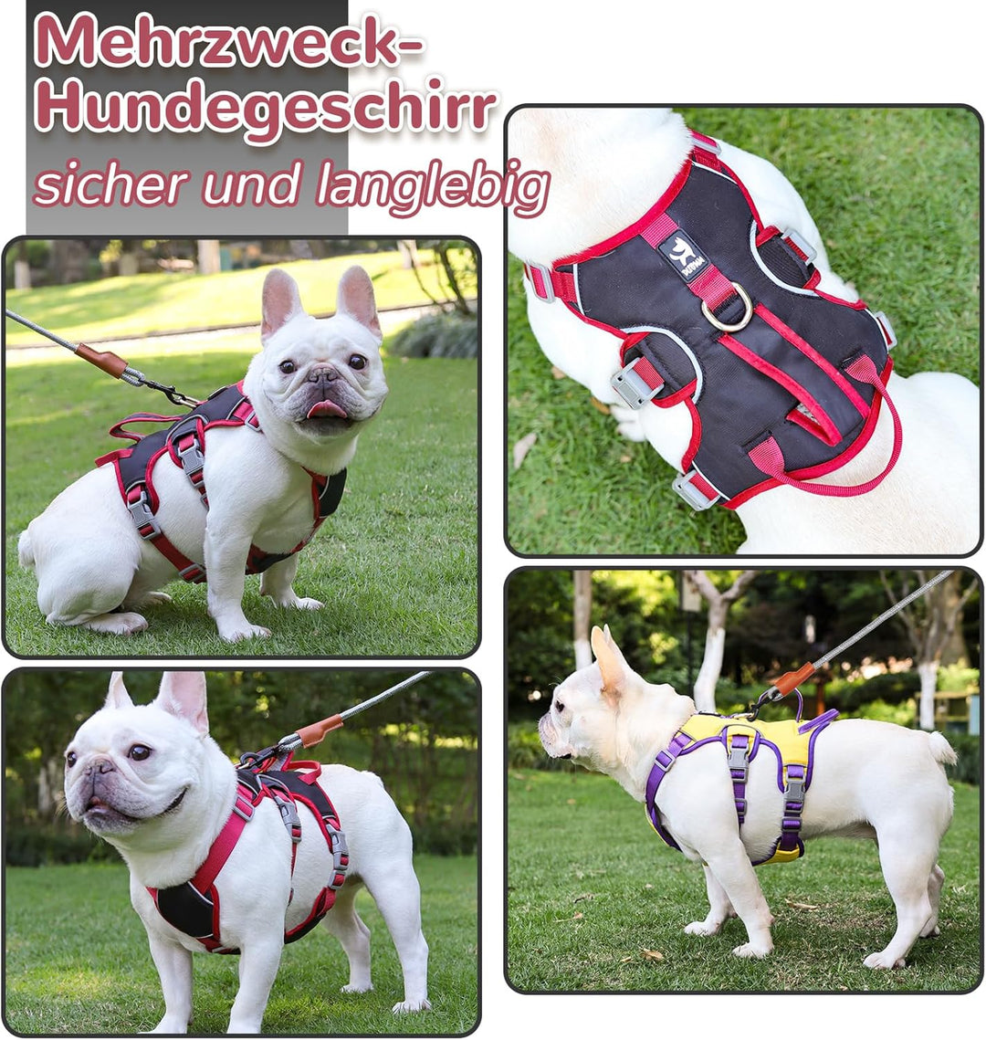 Mehrzweck-Hundegeschirr mit Leine Set, Ausbruchsicheres Anti Zug Hundegeschirr, Anti Zug Geschirr Hu