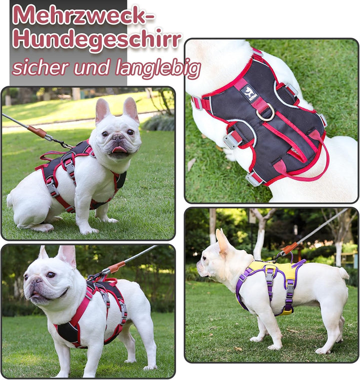 Mehrzweck-Hundegeschirr mit Leine Set, Ausbruchsicheres Anti Zug Hundegeschirr, Anti Zug Geschirr Hu