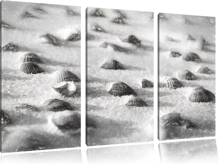Pixxprint Muscheln im Sand Kunst als Leinwandbild/Grösse: 3 Teilig (120x80) / Wandbild/Kunstdruck/fe