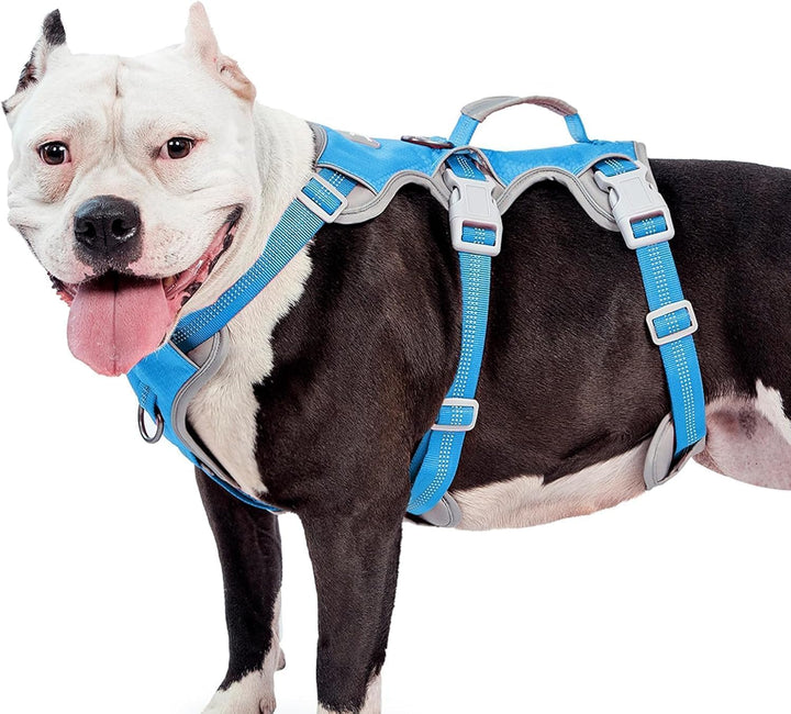 Huntboo Sicherheitsgeschirr Hund Ausbruchsicher, hundegeschirr kleine Hunde, Reflektierendes Geschir