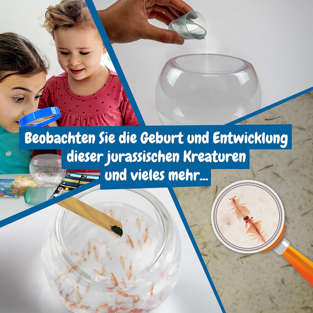 Science4you Jurassische Meerestiere für Kinder ab 6 Jahren - Erstellen Sie EIN Ökosystem für Wasserd
