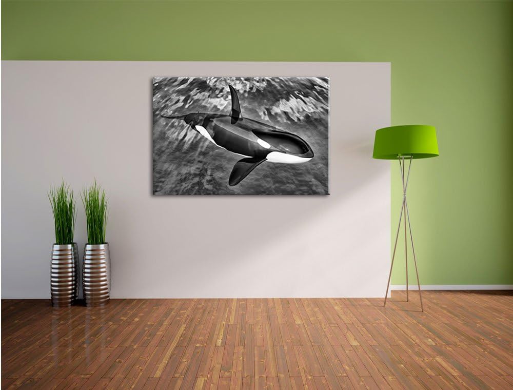 Pixxprint Monocrome, Orca im blauen Meer, Format: 100x70 auf Leinwand, 100x70