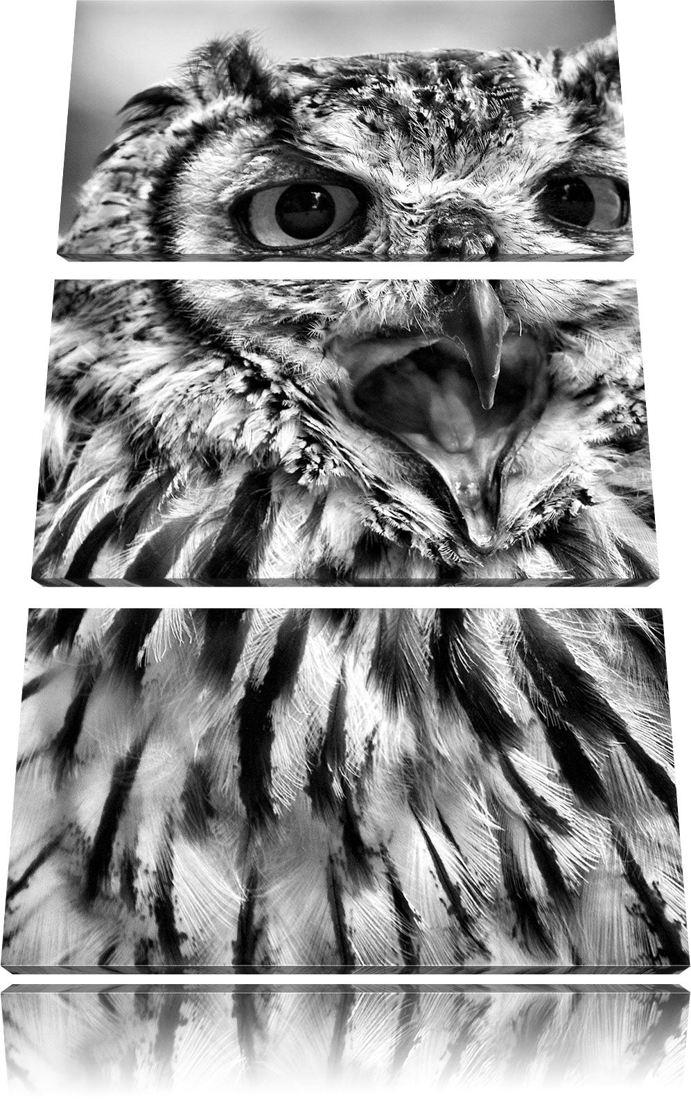 Pixxprint grosse Waldeule gähnt als Leinwandbild/Grösse: 3 Teilig (120x80) cm/Wandbild/Kunstdruck/fe