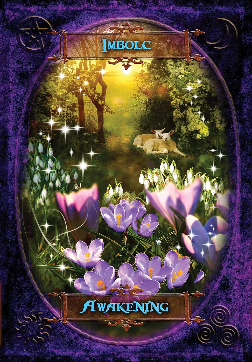 Llewellyn Publications Witches' Wisdom Oracle Cards