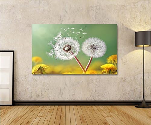 islandburner Bild Bilder auf Leinwand Pusteblume V2 Natur Blumen 1p XXL Poster Leinwandbild Wandbild