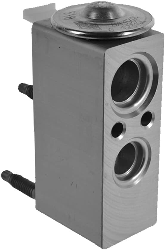 Valeo Expansionsventil Klimaanlage 515055