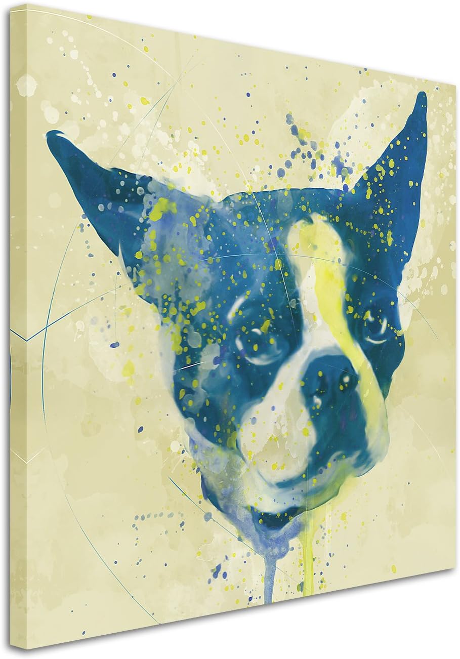 French Dog Aqua 60x60cm - Splash Art Paul Sinus Wandbild auf Leinwand - Malerei, Kunstbild, Aquarell