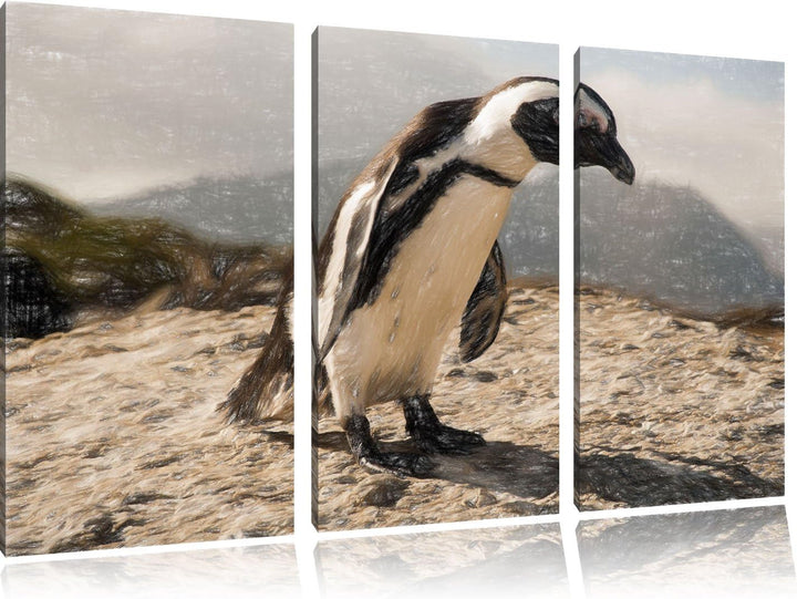 Pixxprint Afrikanischer Pinguin beobachtet als Leinwandbild/Grösse: 3 Teilig (120x80) cm/Wandbild/Ku