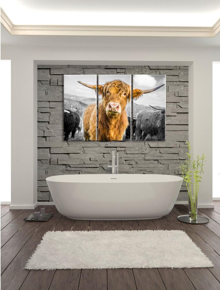 Pixxprint Niedlicher Blick Einer Kuh an der Weide B&W Detail 3-Teiler Leinwandbild 120x80 Bild auf L