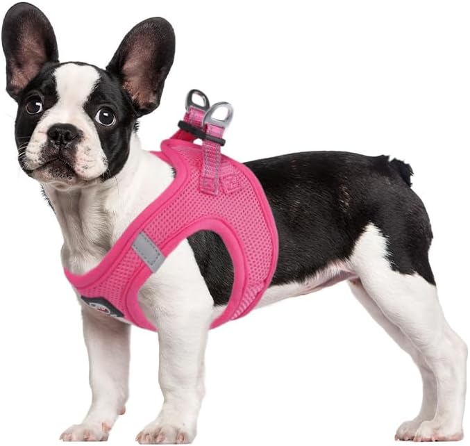Miami Hundegeschirr Step-in – No-Pull leicht & atmungsaktiv gepolstert & reflektierend verstellbar m