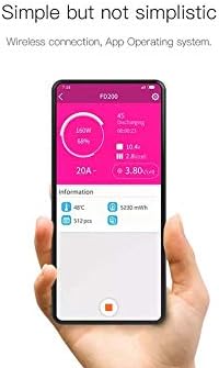 ISDT FD-200 App-Steuerung Lipo Akku Batterie Balance Entlader 200W/25A 2-8s 7-35v Lipo Batterie