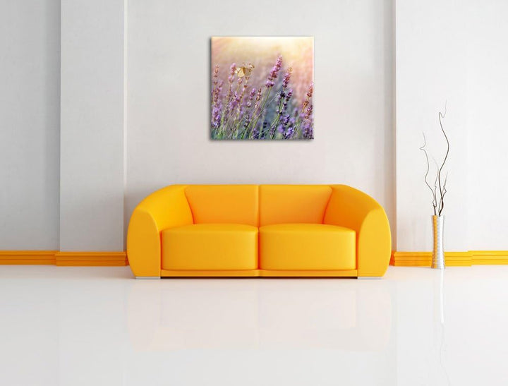 Pixxprint Schmetterlinge auf Lavendelblumen, Format: 70x70 auf Leinwand, 70x70