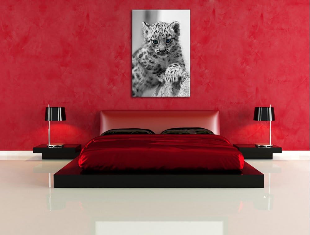 niedliches Leopardenjunges beim Klettern schwarz/weiss auf Leinwand, XXL riesige Bilder fertig gerah