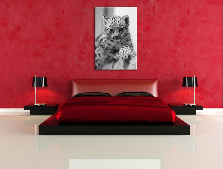 niedliches Leopardenjunges beim Klettern schwarz/weiss auf Leinwand, XXL riesige Bilder fertig gerah