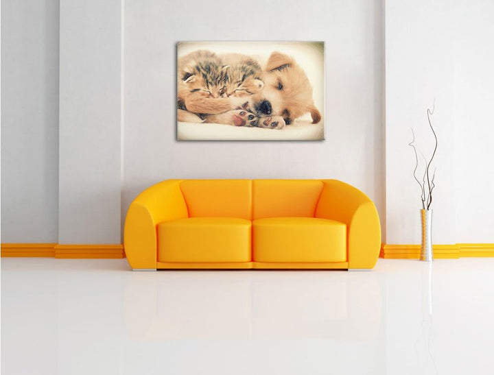 Pixxprint Hundewelpe mit kleinen Kätzchen / 100x70cm Leinwandbild bespannt auf Holzrahmen/Wandbild K