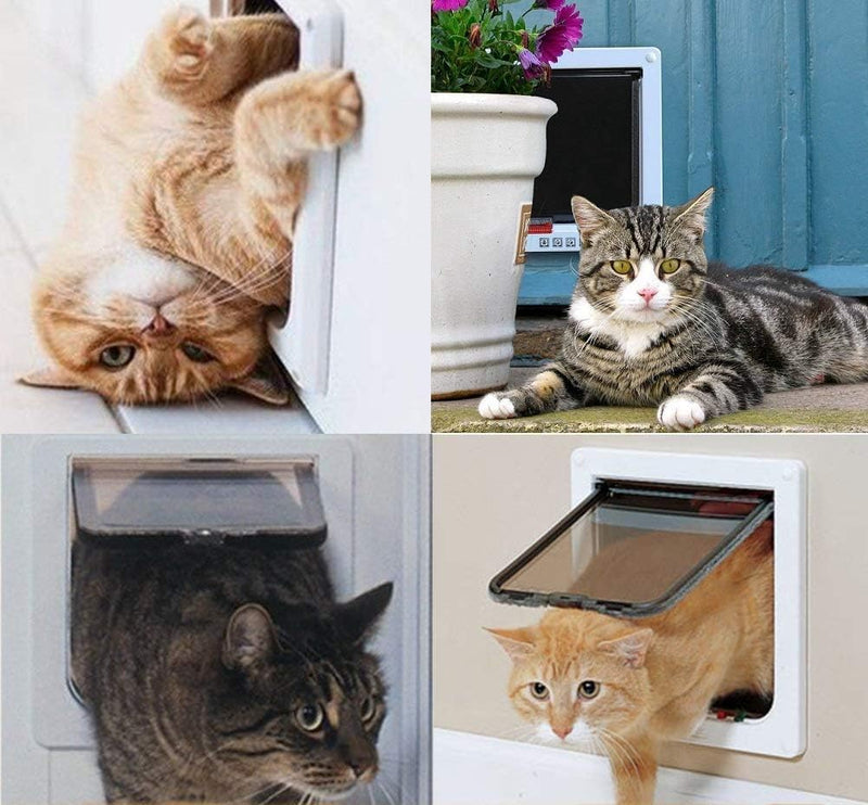 Sailnovo Katzenklappe 4-Way Magnetic Lock hundeklappe Haustiertüre Cat Flap 19 * 20 * 5.5cm Dog Cat