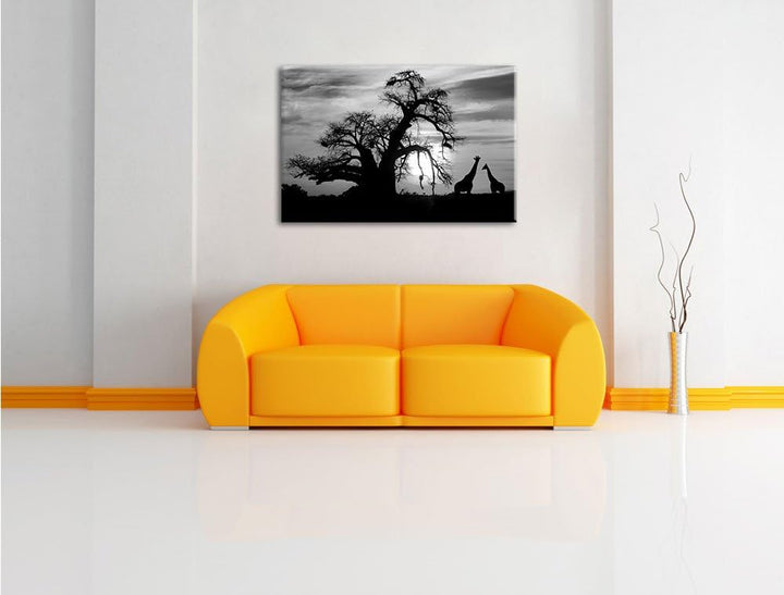 Pixxprint Zwei Giraffen in der Wüste als Leinwandbild/Grösse: 100x70 cm/Wandbild/Kunstdruck/fertig b