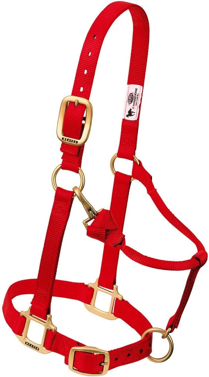 Weaver Leather Original verstellbares Nylonhalfter für Pferde L Horse Hurricane blau, L Horse Hurric