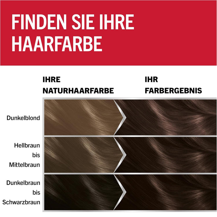Brillance Intensiv-Color-Creme Haarfarbe 924 Schokobraun Stufe 3, 3er Pack(3 x 160 ml), 924 Schokobr