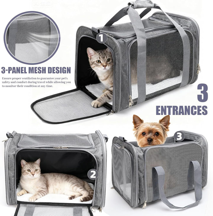 Transporttasche für Katze Hund Katzenboxe Hundetransportbox Katzen Transportboxen Tragbar Faltbare H