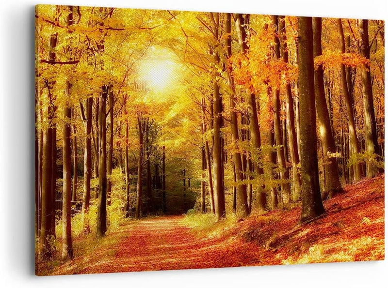 Bilder auf Leinwand 100x70cm Leinwandbild mit Rahmen Pfad Blätter Wald Gross Wanddeko Bild Schlafzim