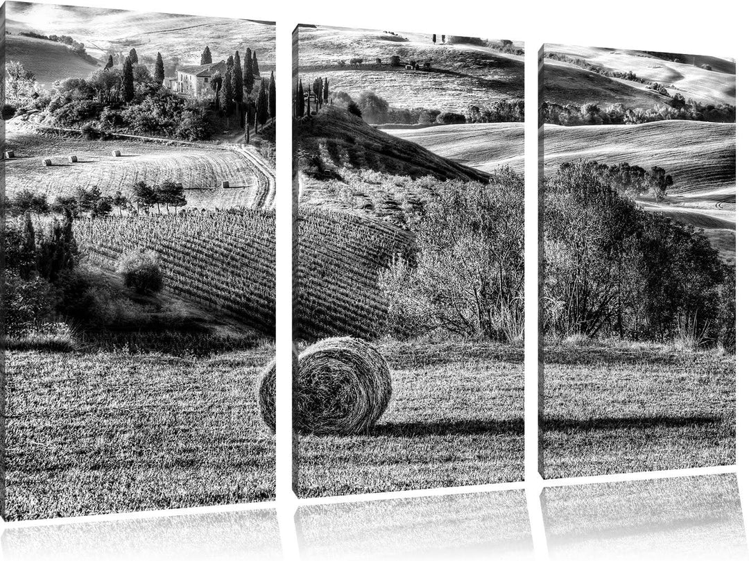 Pixxprint Monocrome, Italienische Toskana Landschaft 3-Teiler Leinwandbild 120x80 Bild auf Leinwand