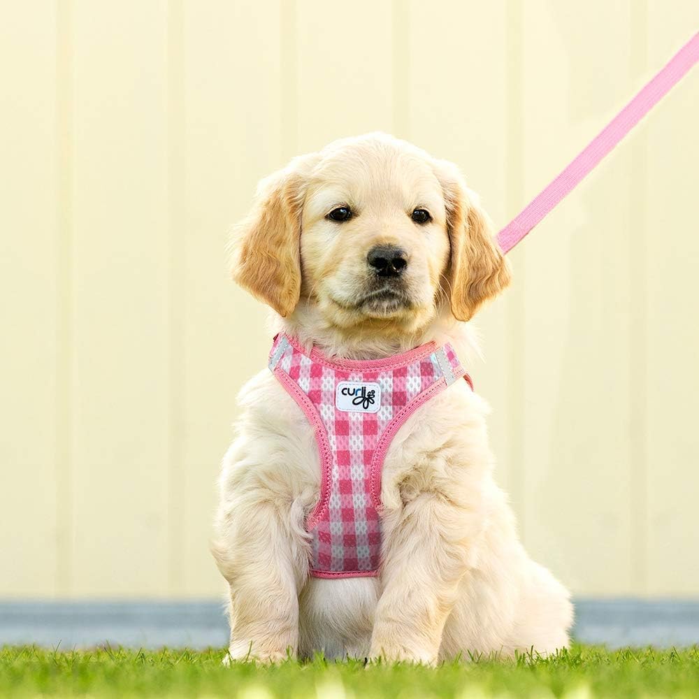 Vest Harness Air-Mesh Skyblue-Circles M & Leash L M Skyblue-Circles, M Skyblue-Circles