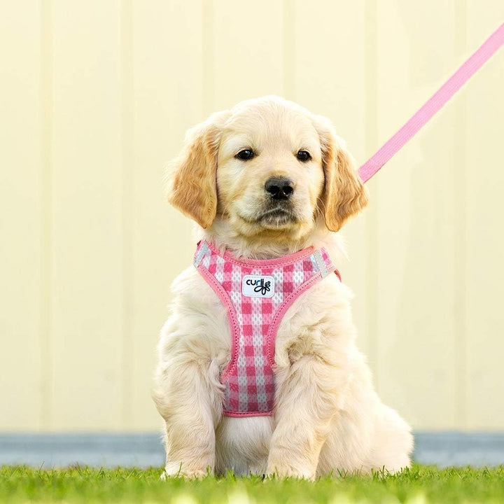 Vest Harness Air-Mesh Pink-Caro S & Leash M, Pink-Caro S