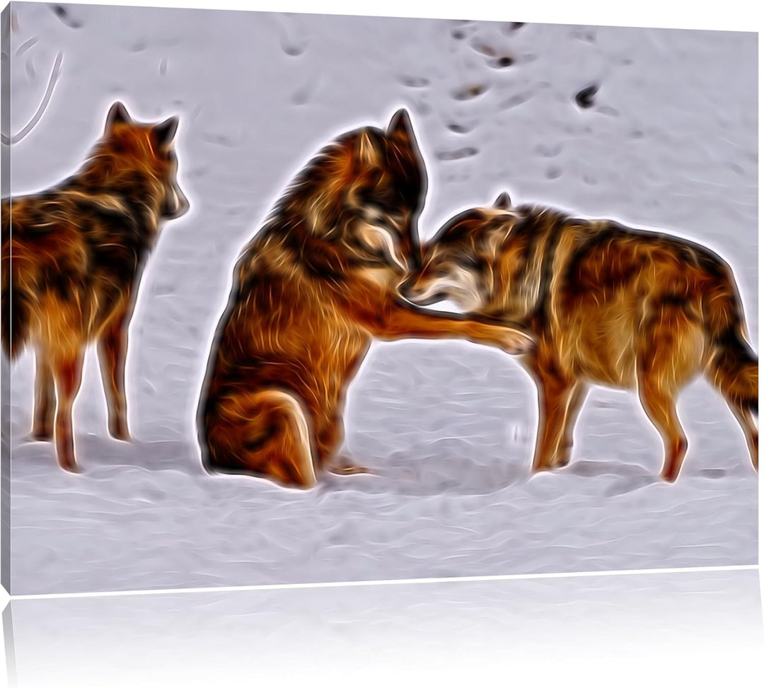 spielendes Wolfsrudel Deluxe Format: 100x70 cm auf Leinwand, XXL riesige Bilder fertig gerahmt mit K