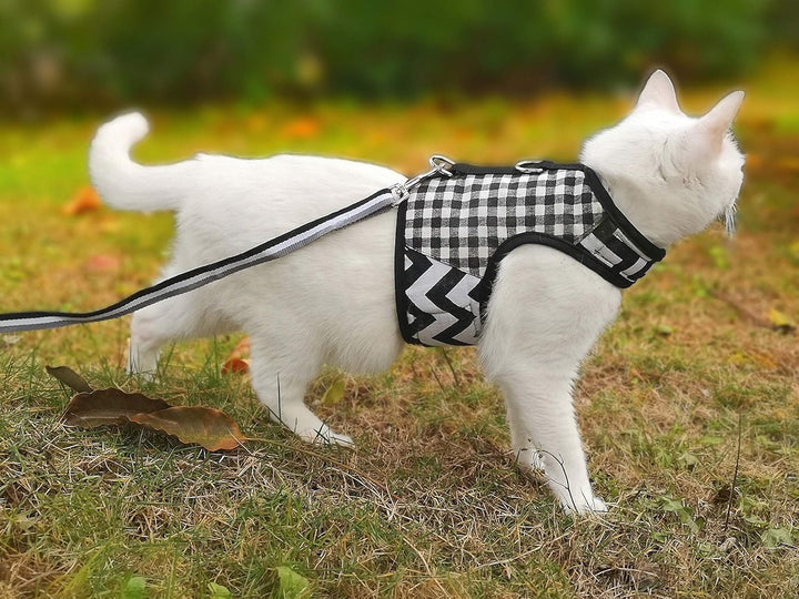 Yizhi Miaow Katzengeschirr und Leine zum Spazierengehen, ausbruchsicher, verstellbares Katzengeschir
