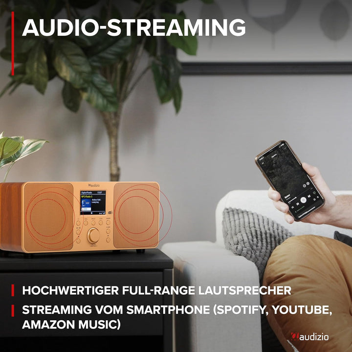 Audizio Genua DAB Radio mit Bluetooth – Stereo DAB Plus Radio mit Fernbedienung, 60 Speicherplätze,