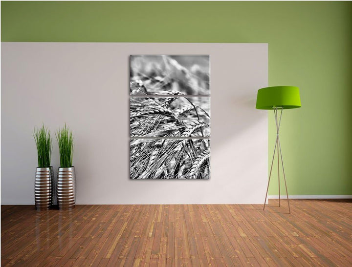 Pixxprint Goldene Getreide Ären als Leinwandbild | Grösse: 3 Teilig (120x80) | Wandbild| Kunstdruck