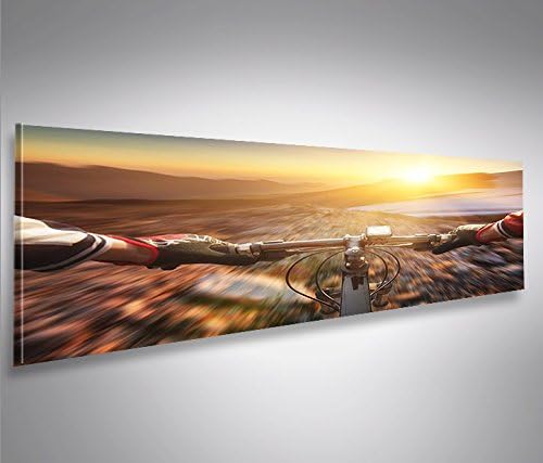 islandburner Bild Bilder auf Leinwand Mountain Bike V2 Down Hill Cross Panorama XXL Poster Leinwandb