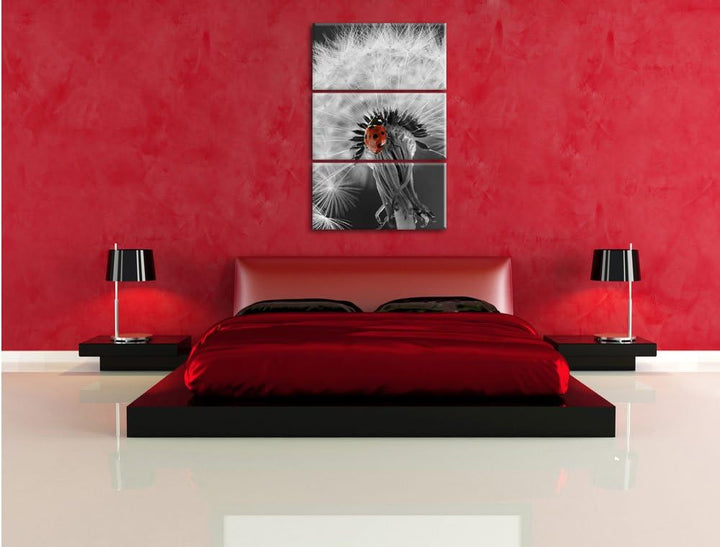 Pixxprint schöner Marienkäfer auf Pusteblume als Leinwandbild/Grösse: 3 Teilig (120x80) cm/Wandbild/