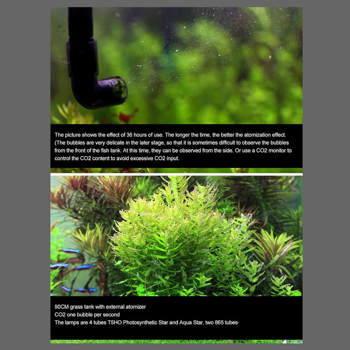 Aquarium CO2 Zerstäuber, Aquarium Zerstäuber Aussenbehälter CO2 Diffusor CO2 Reaktor Diffusor Aquari