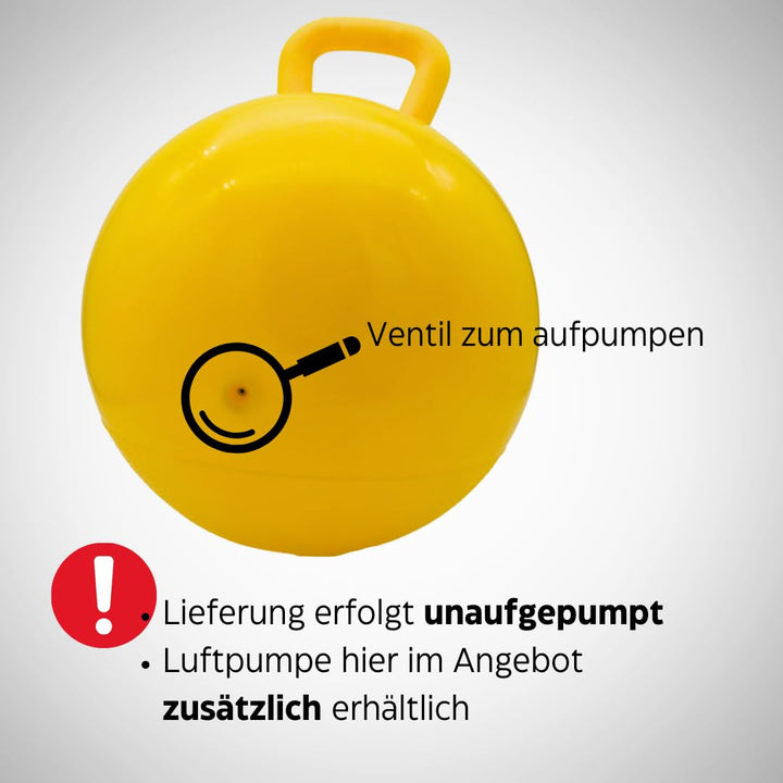 PFIFF 103033 aufblasbarer Pferdespielball, Spielball für Pferde, Pferdespielzeug, Ball mit Luftpumpe