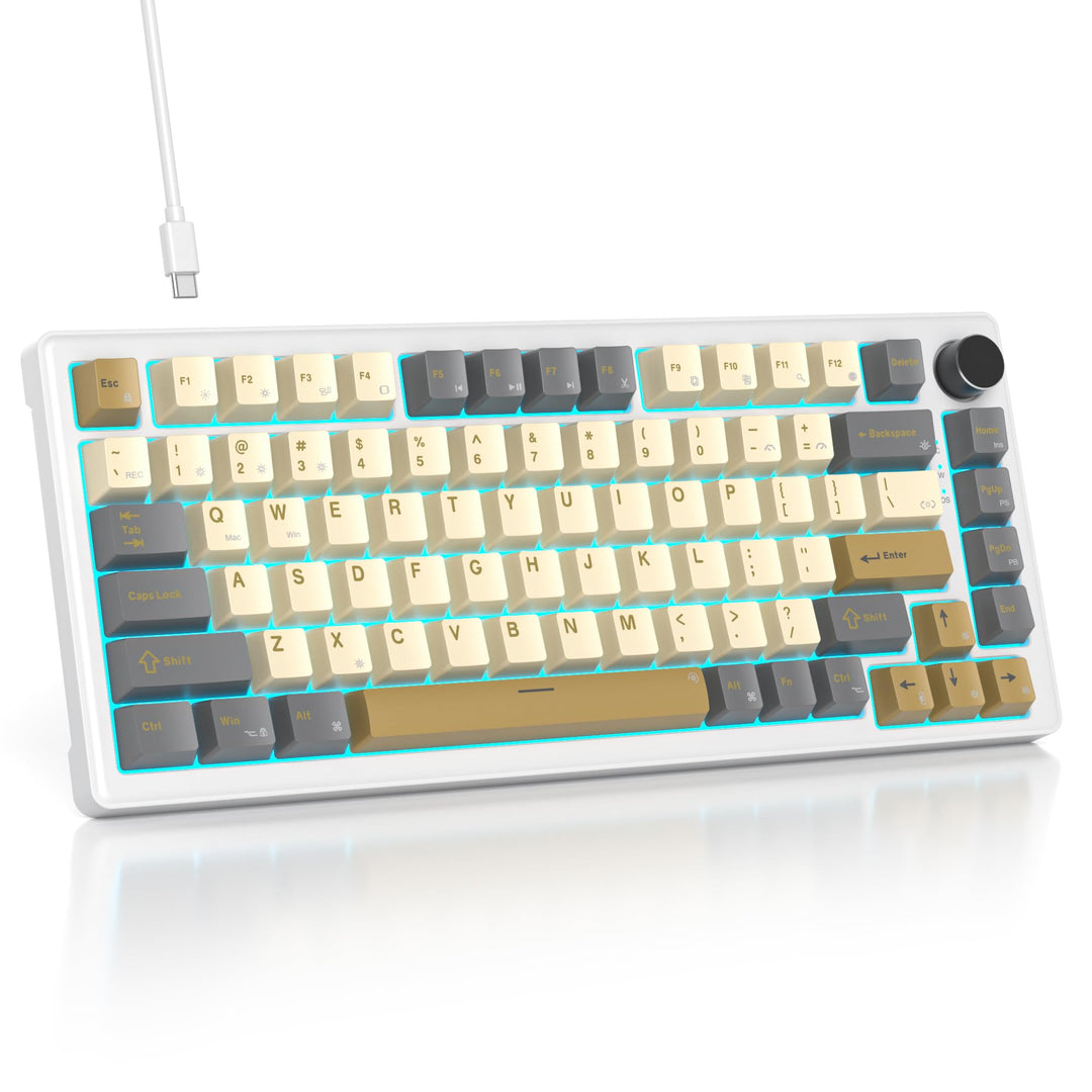 SOLIDEE Verkabelte Mechanische Gaming Tastatur 75 Prozent, Hot-Swap-Fähig Mit Gasket Struktur, RGB H