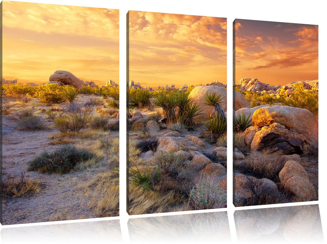 Pixxprint Joshua Wüste im Sonnenuntergang 3-Teiler Leinwandbild 120x80 Bild auf Leinwand