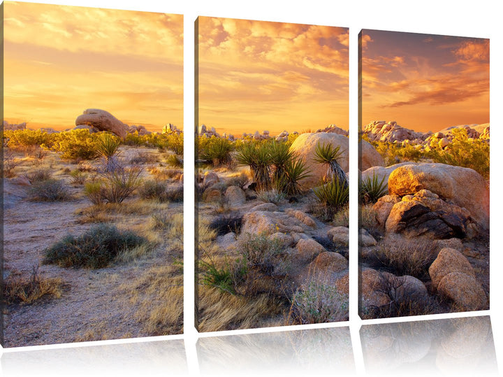 Pixxprint Joshua Wüste im Sonnenuntergang 3-Teiler Leinwandbild 120x80 Bild auf Leinwand