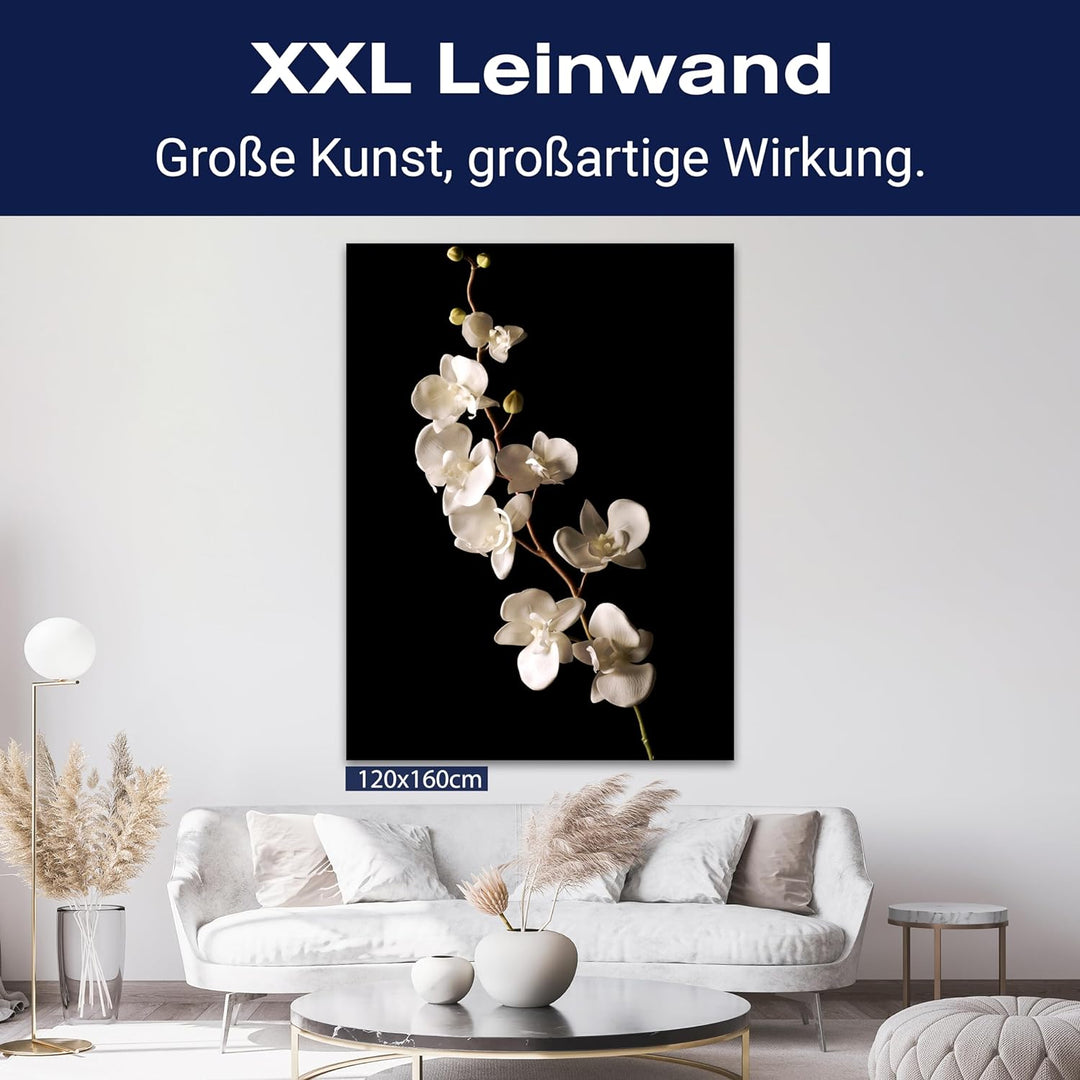 wandmotiv24 Leinwandbild Natur 60x45cm, Hochformat, Blumen, Orchidee, Deko, Bilder auf Leinwand, Wan