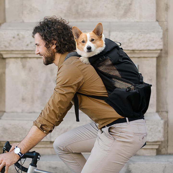 Galatée Hundetragerucksack, Tragbarer Verstellbarer Hunderucksack, Belüfteter Haustiertragerucksack,