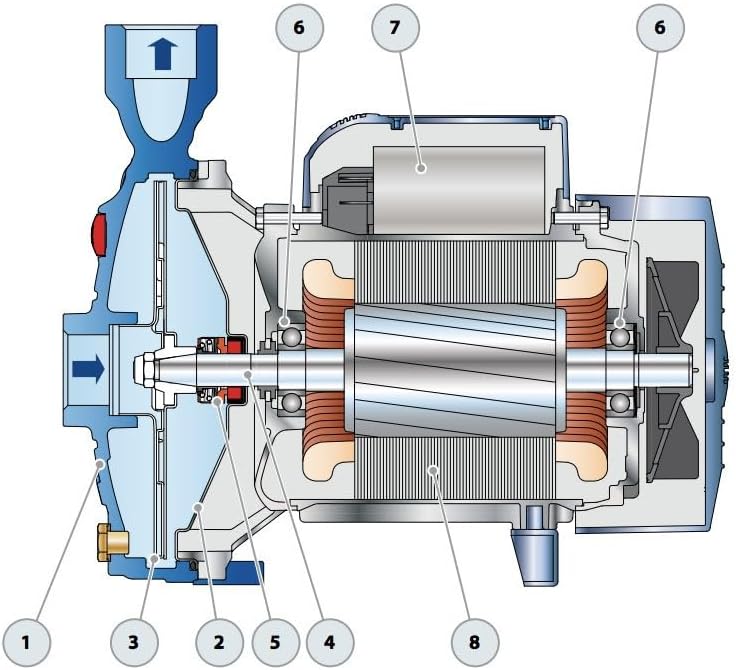 Wasserpumpe Pedrollo CPM100 0,25 kW bis 3,6 m³/h, einphasig, 220 V