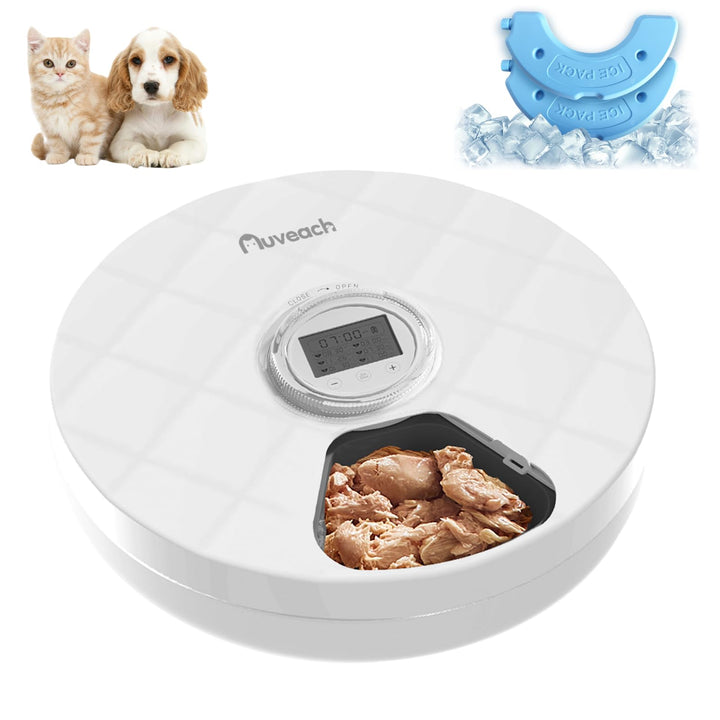 Auveach Futterautomat Katze Nassfutter Automat mit 2 Kühlakkus/Programmierbarem Timer, 6 Mahlzeiten