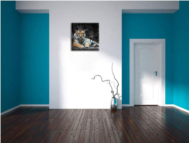 ruhender Löwe schwarz/weiss, Format: 70x70 auf Leinwand, XXL riesige Bilder fertig gerahmt mit Keilr