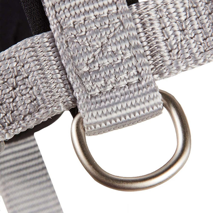 WOLTERS Geschirr Professional Comfort, Grösse:50-60 cm, Farbe:Silber/schwarz 50 - 60 cm silber/schwa