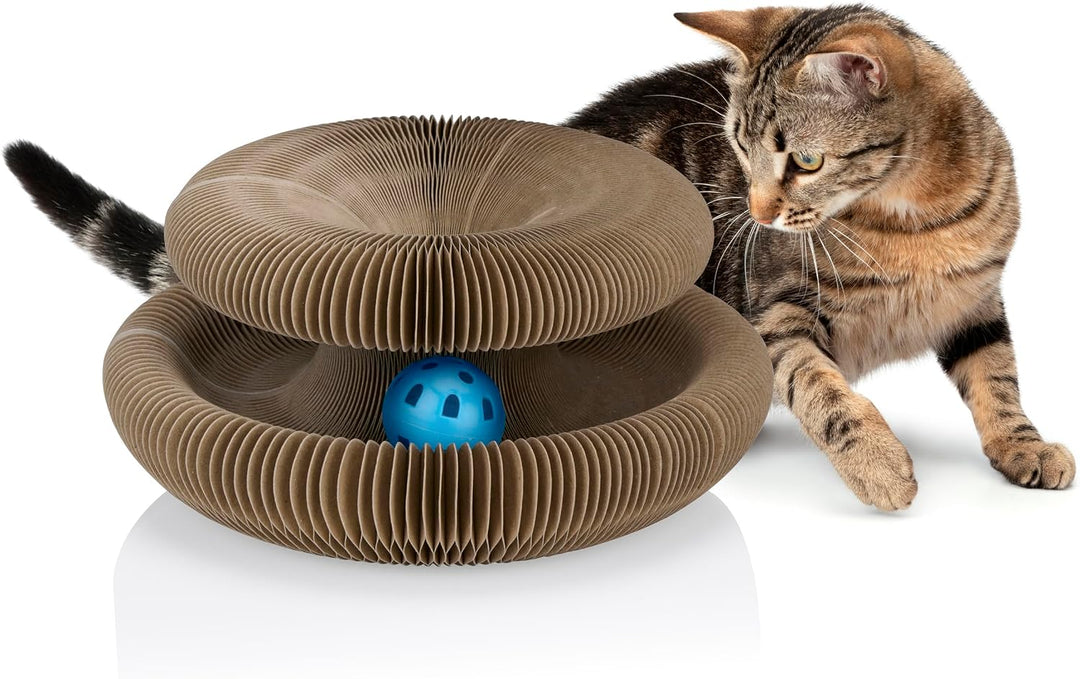 maxxpro Katzenspielzeug Selbstbeschäftigung – Kratzpappe – Katzenminze – Spielzeugball