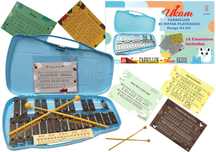 25 silberfarbene Noten UKAM Modell RA250S, Notizen, mit Notizen, inklusive 2 farbigen Sticks, Aufkle