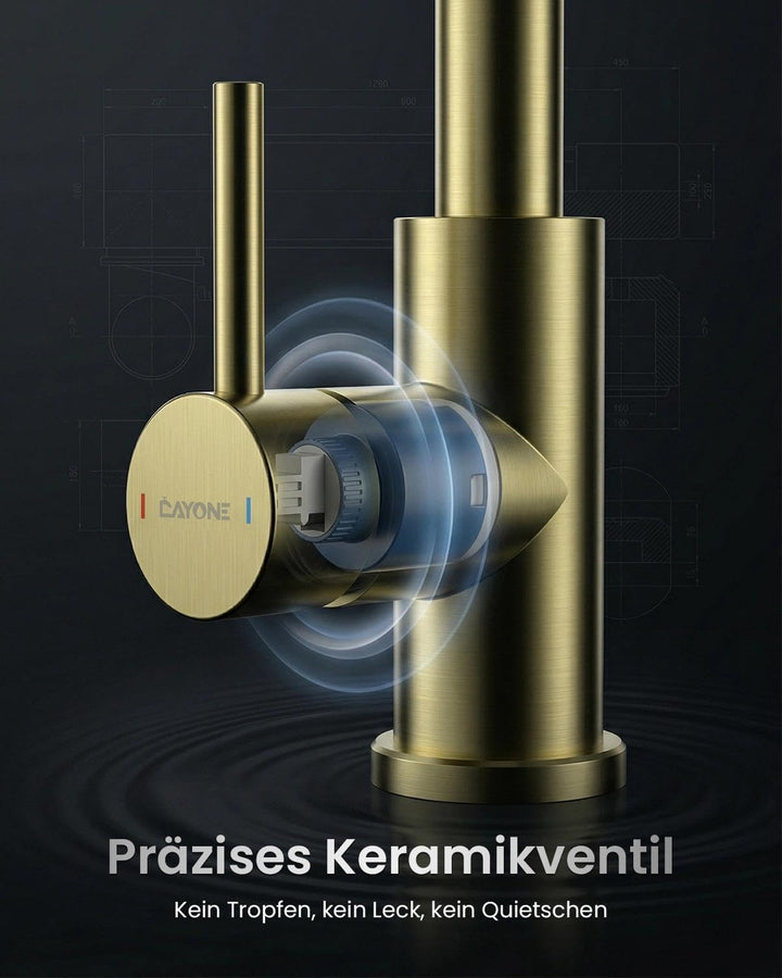 DAYONE Gold Niederdruck Küchenarmatur, SUS304 Edelstahl Wasserhahn Küche mit Ausziehbarer 3-Strahl-B