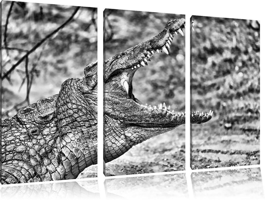 Pixxprint gewaltiges Krokodil als Leinwandbild/Grösse: 3 Teilig (120x80) cm/Wandbild/Kunstdruck/fert