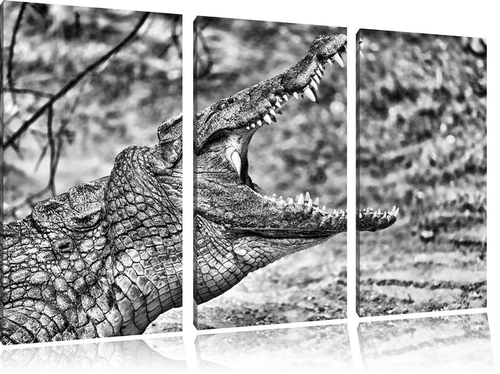 Pixxprint gewaltiges Krokodil als Leinwandbild/Grösse: 3 Teilig (120x80) cm/Wandbild/Kunstdruck/fert